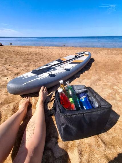 Органайзер в багажник с сумкой-холодильником Arranger, черный с серым